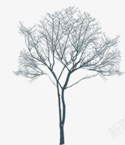 摄影创意合成冬天的大树森林png免抠素材_新图网 https://ixintu.com 冬天 创意 合成 大树 摄影 森林