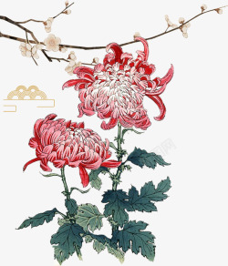 红菊中国风水彩红菊元素高清图片