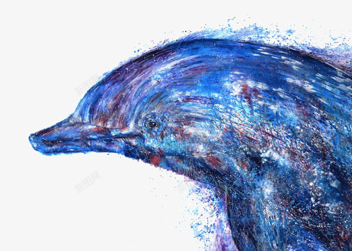 创意彩绘海豚png免抠素材_新图网 https://ixintu.com 创意 多彩 彩绘 彩色 手绘 插画 海豚 艺术 蓝色 设计