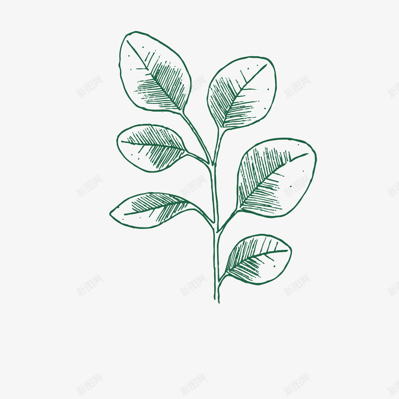简单的绿色线框叶子矢量图ai免抠素材_新图网 https://ixintu.com 个性 创意 复古 植物 简单 简约 线框 美丽 矢量图
