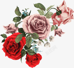 多彩玫瑰花唯美多彩花朵装饰高清图片