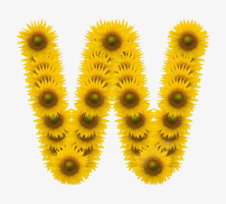 花卉拼贴菊花字母W高清图片
