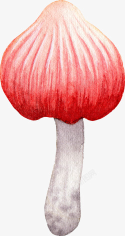 水彩小蘑菇手绘卡通红色漂亮小蘑菇高清图片