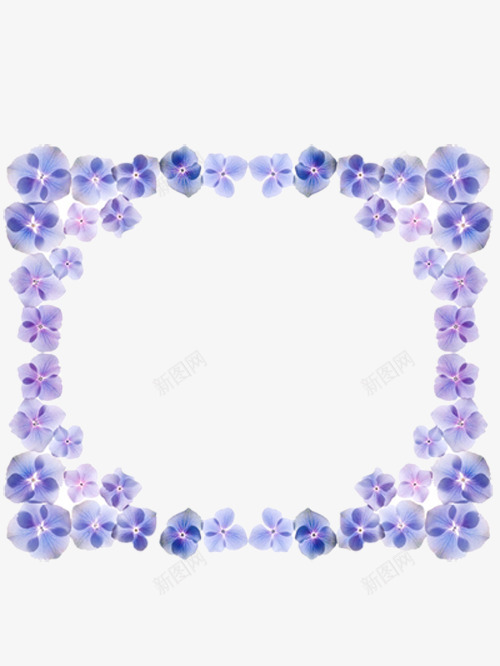 花朵边框png免抠素材_新图网 https://ixintu.com 好看的边框 小紫花 漂亮的边框 紫色的花朵