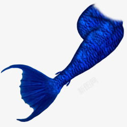 深蓝色漂亮美人鱼尾巴素材