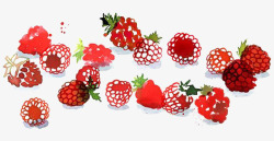 红色的桑葚草莓和桑葚高清图片