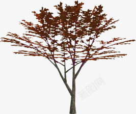 红色个性树木png免抠素材_新图网 https://ixintu.com 个性 树木 红色 设计