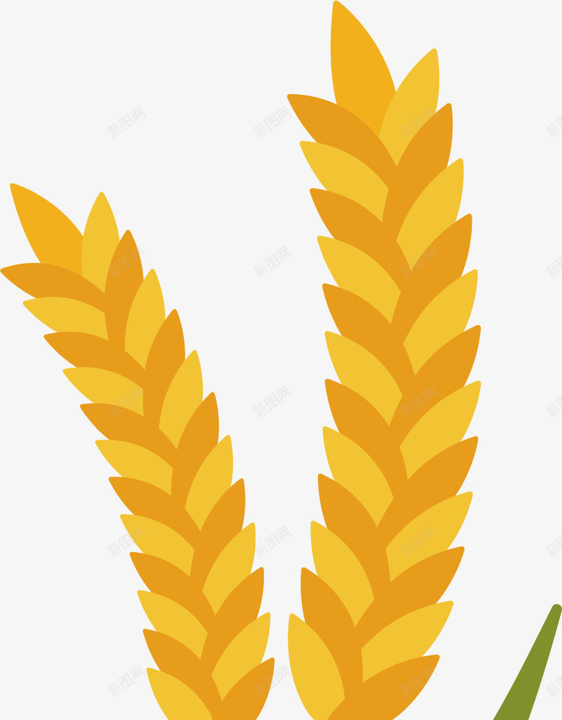 小麦绿叶植物矢量图ai免抠素材_新图网 https://ixintu.com 卡通手绘 小麦 植物 绘画 绿叶 食物 矢量图