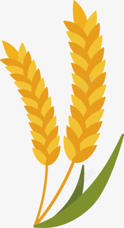 绿叶小麦苗小麦绿叶植物矢量图高清图片