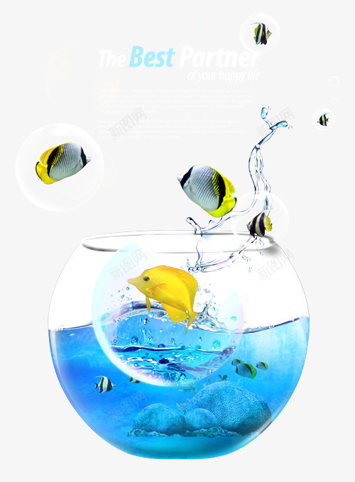 玻璃鱼缸png免抠素材_新图网 https://ixintu.com 养鱼 气泡 水缸 水草 白色水缸 透明玻璃 金鱼 鱼缸