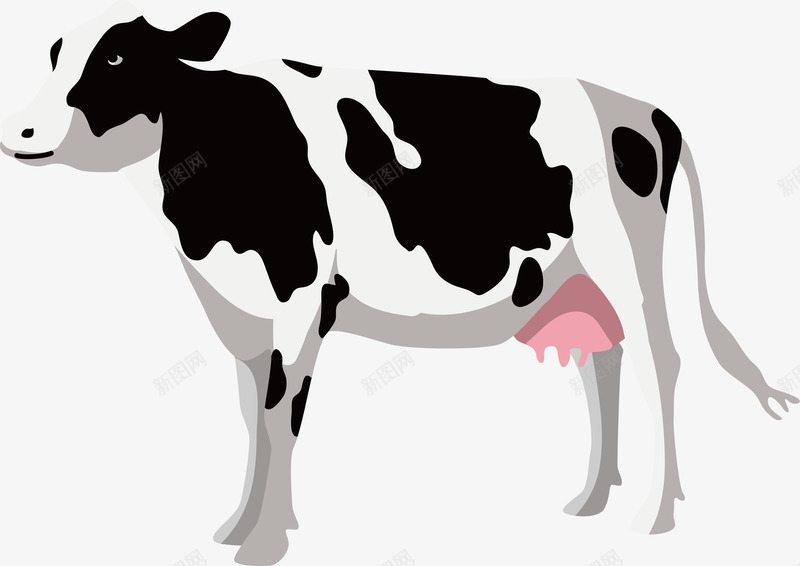 牧场的奶牛png免抠素材_新图网 https://ixintu.com 奶牛 牛奶 牧场奶牛 矢量png 纯天然 黑白牛 黑白花