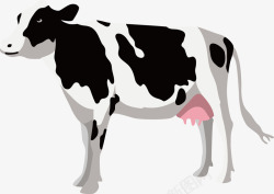 奶牛黑白花牧场的奶牛高清图片