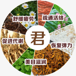珍珠粉中药材高清图片