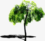 绿色个性创意树木素材