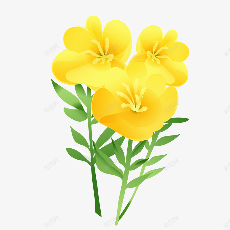 漂亮的黄花png免抠素材_新图网 https://ixintu.com 漂亮 花朵 花朵素材 黄色 黄花