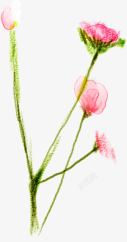手绘粉色花卉个性主图素材