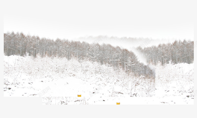 冬季雪景png免抠素材_新图网 https://ixintu.com 冬天的树木 白色 雪 雪地 雪景 雪景里的树
