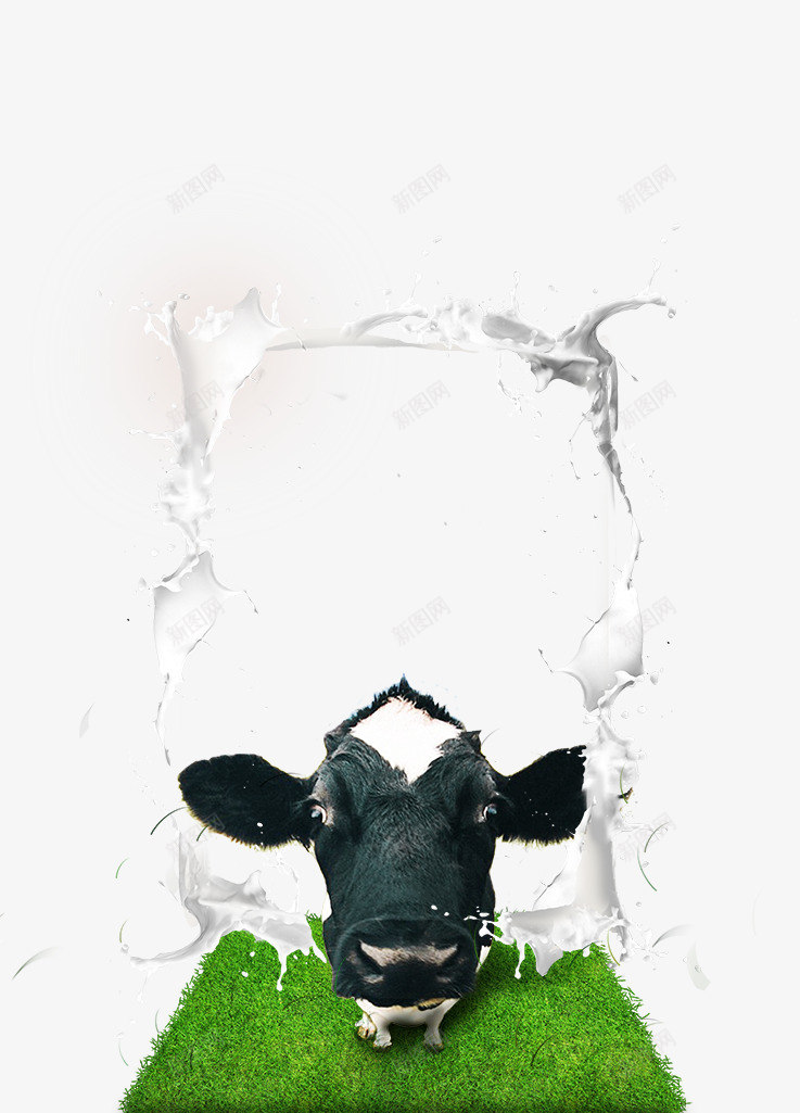 牛头png免抠素材_新图网 https://ixintu.com 创意 牛头 牛头像 牛奶 相框 草地