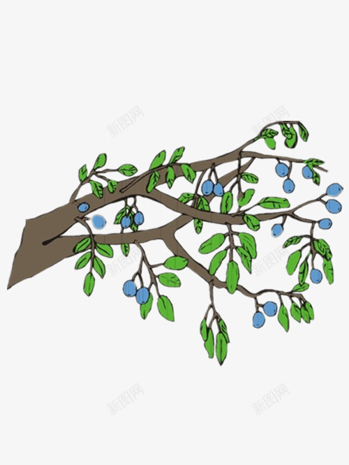 手绘树枝上的绿叶和蓝莓png免抠素材_新图网 https://ixintu.com 图片素材 好看的蓝莓 手绘 漂亮的蓝莓