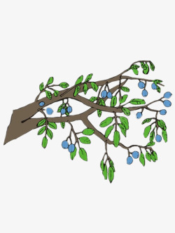 手绘树枝上的绿叶和蓝莓素材