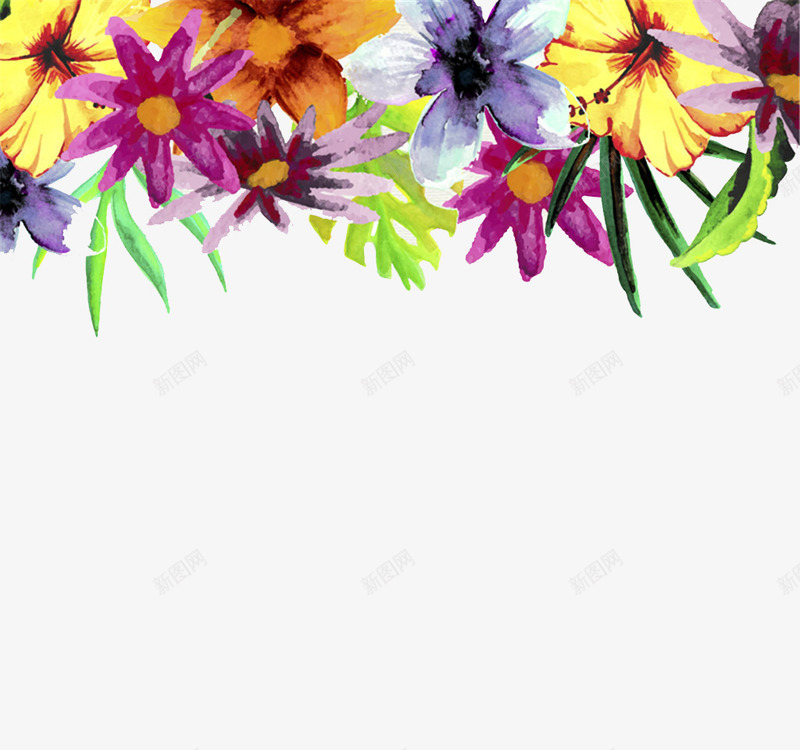 漂亮的水彩花卉背景装饰psd免抠素材_新图网 https://ixintu.com 水彩 背景 花卉 装饰