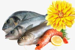 黄色虾海鲜盛宴高清图片