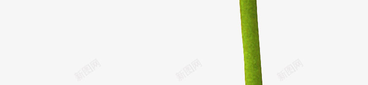 玫红色大丽菊png免抠素材_新图网 https://ixintu.com 大丽菊 大花 玫红色 菊花