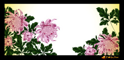 菊花墙相框矢量图高清图片
