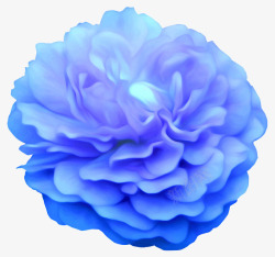 淡蓝色花瓣漂亮的花朵高清图片
