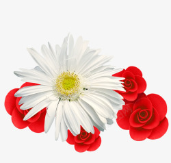 白色菊花红色玫瑰素材