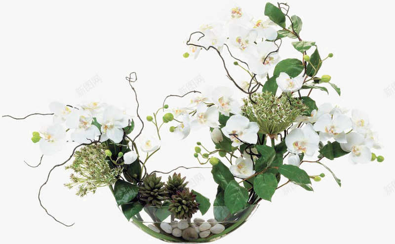 白色花卉玻璃瓶插花png免抠素材_新图网 https://ixintu.com 插花 玻璃瓶 白色 花卉 装饰