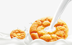 黄色饼干牛奶饼干高清图片