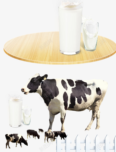 牛奶广告psd免抠素材_新图网 https://ixintu.com 奶杯 奶牛 桌子 牛奶