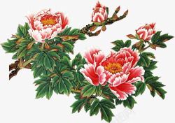 中国画牡丹图素材