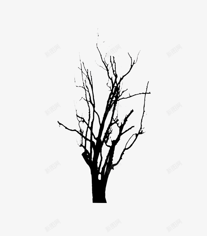 冬天没有树叶的树木png免抠素材_新图网 https://ixintu.com 娌湁鏍戝彾鐨勬爲鏈 鍐 鏍戝共