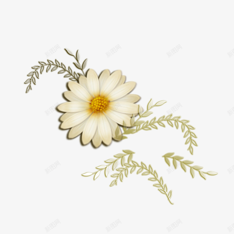 白色的菊花的线稿png免抠素材_新图网 https://ixintu.com 白色 白色花瓣 线稿 菊花