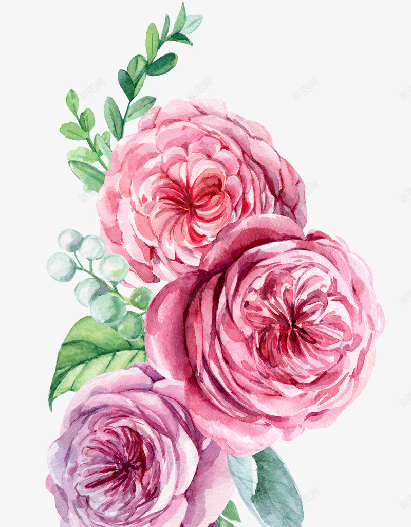 卡通手绘水彩花朵png免抠素材_新图网 https://ixintu.com 卡通手绘 植物插图 水彩 漂亮的 粉色花朵 绿色的叶子