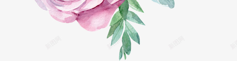 卡通手绘水彩花朵png免抠素材_新图网 https://ixintu.com 卡通手绘 植物插图 水彩 漂亮的 粉色花朵 绿色的叶子