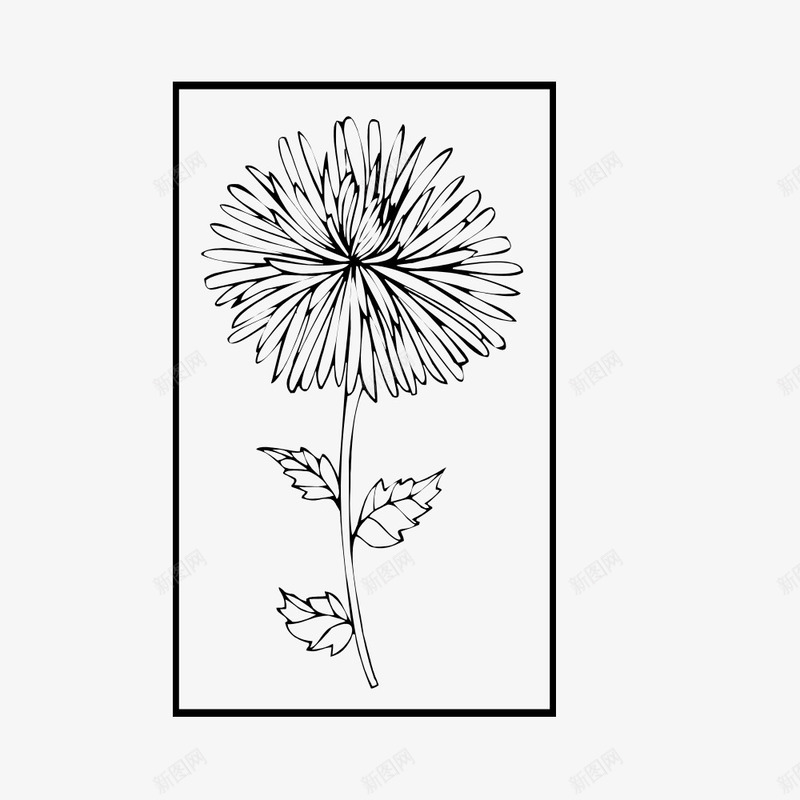 一朵菊花png免抠素材_新图网 https://ixintu.com 一朵 手绘 简图 花朵 花瓣 菊花 边框 黑色的
