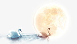 水面装饰素材月亮下的天鹅高清图片