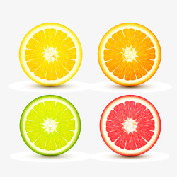 切开的橙子矢量图素材