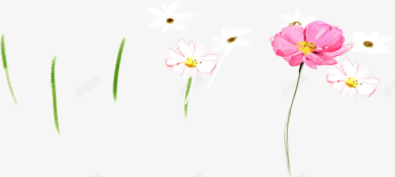 手绘花卉个性插画png免抠素材_新图网 https://ixintu.com 个性 插画 素材 花卉