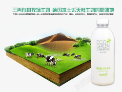 韩国原味大麦茶三养有机牛奶高清图片