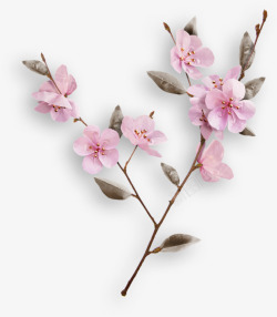 粉色个性花朵素材