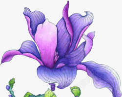 手绘漫画紫色花朵素材