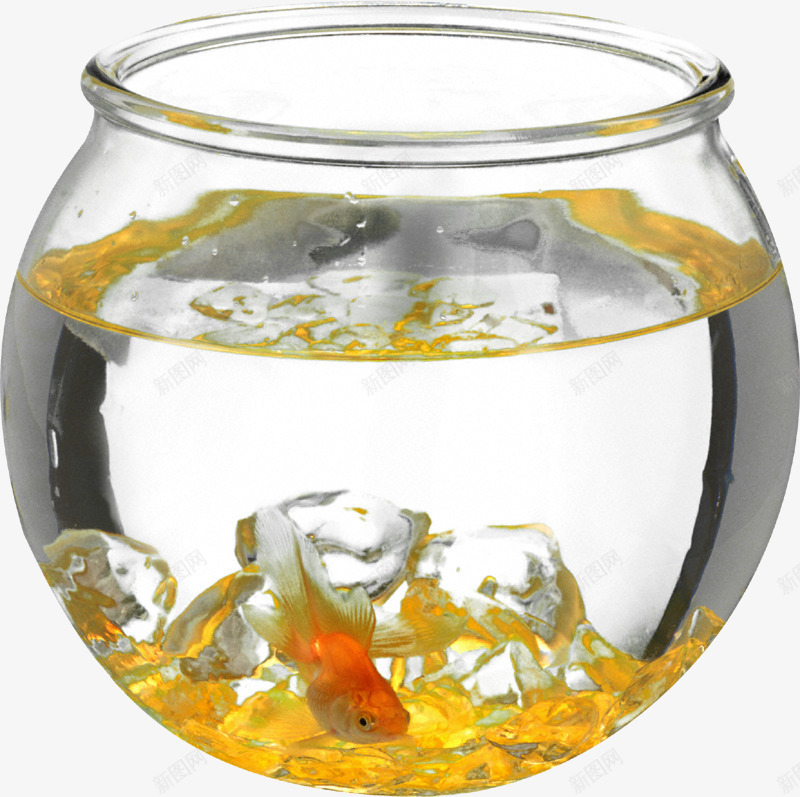 鱼缸png免抠素材_新图网 https://ixintu.com 养鱼 水缸 白色水缸 透明玻璃 金鱼 鱼缸