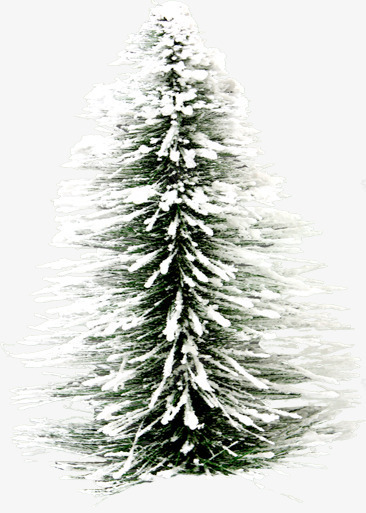 冬天雪树相框画框png免抠素材_新图网 https://ixintu.com 冬天 画框 素材