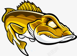 漂亮的金色鱼矢量图素材