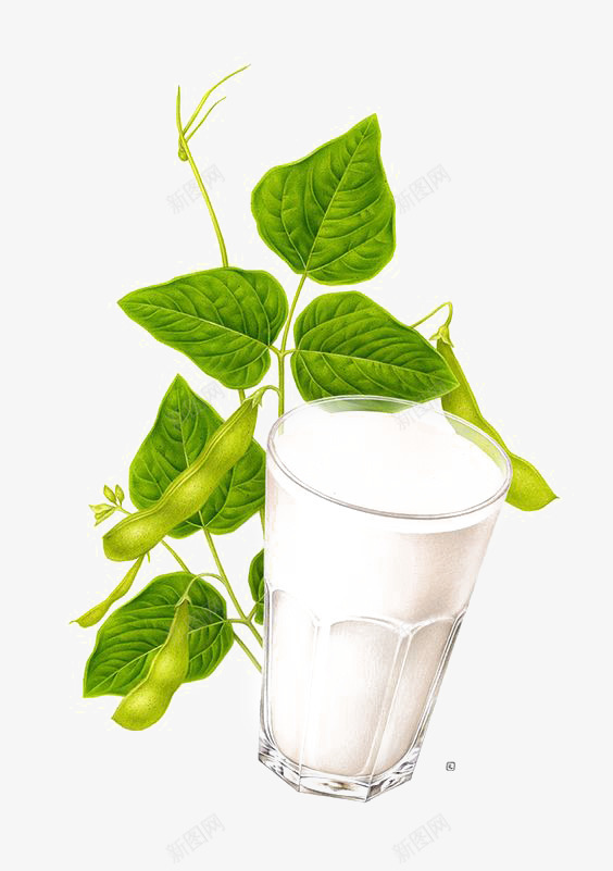 杯装牛奶png免抠素材_新图网 https://ixintu.com 早餐牛奶 牛奶免扣元素 绿色叶片 营养牛奶