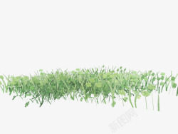 绿色漂亮草丛素材